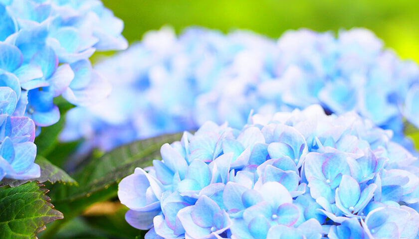 74�Фε��㡣����Τդ뤨�����ˤʤ뤬�����Ǥ򤹤��᤿�ۤ����褤���¤äƤ���