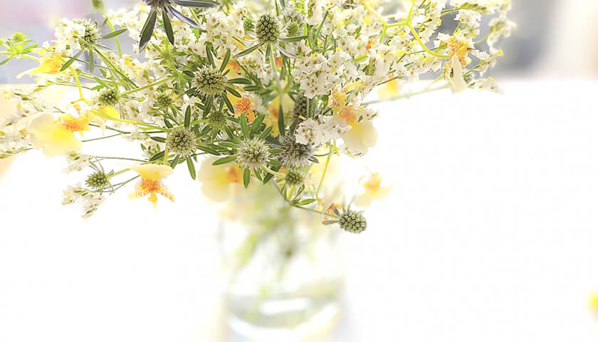 ��뤬�ʤ�Ǹ����Ť餯�ʤ���Ǥ���ȡֳ������פȿ��ǡ���ѤΥ����ߥ󥰤ϡ�