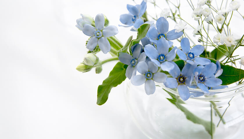 ���������ͤ������ͤ������ǤϤʤ������ôΤȤλ�Ŧ���������뤳�ȤϤǤ��롩