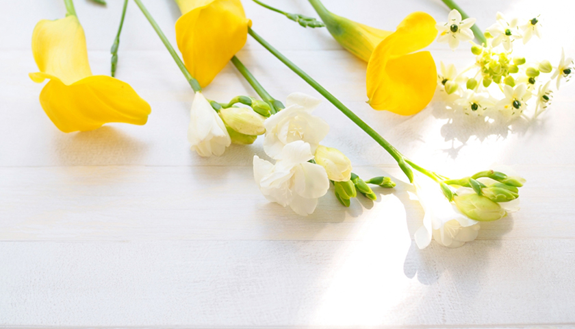 ���׼��դ��ˤߤ���´������롣�ͤ������µ��ȼ���ˡ���Τꤿ��