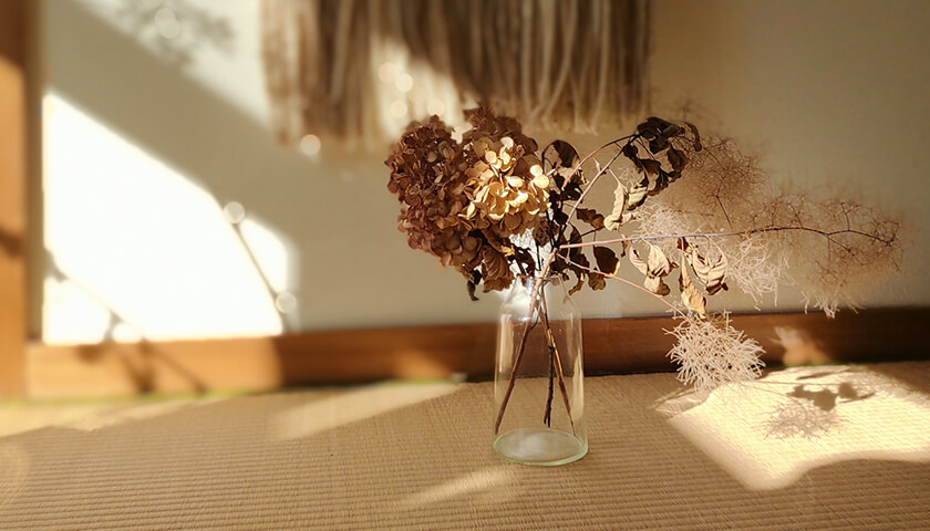 Ⱦǯ�������Τ����оɤȿ��ǡ���Ѥ򤹤�Ƚ�Ǵ��ϡ�