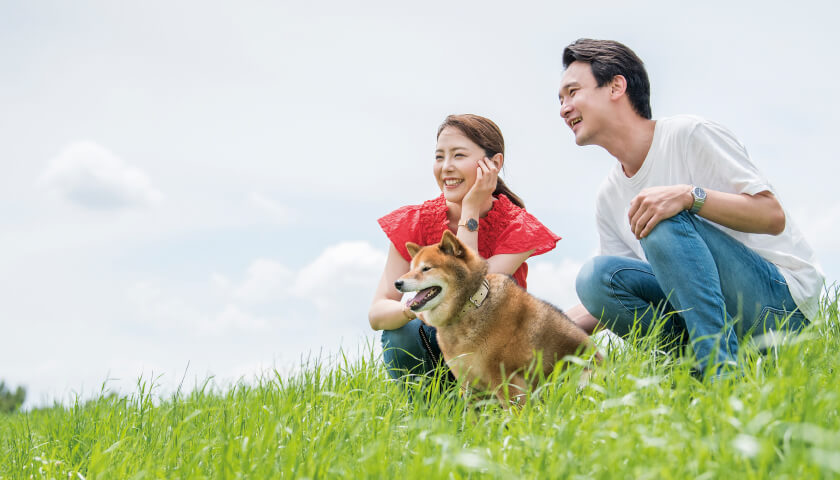 �ڥåȤȹ�������餹����γؤӡ��ڥåȥ����ʡ�����